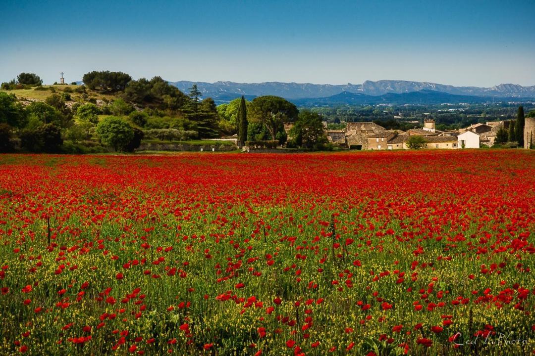 Villa Provencale Face Au Luberon Cabrières-dʼAvignon المظهر الخارجي الصورة