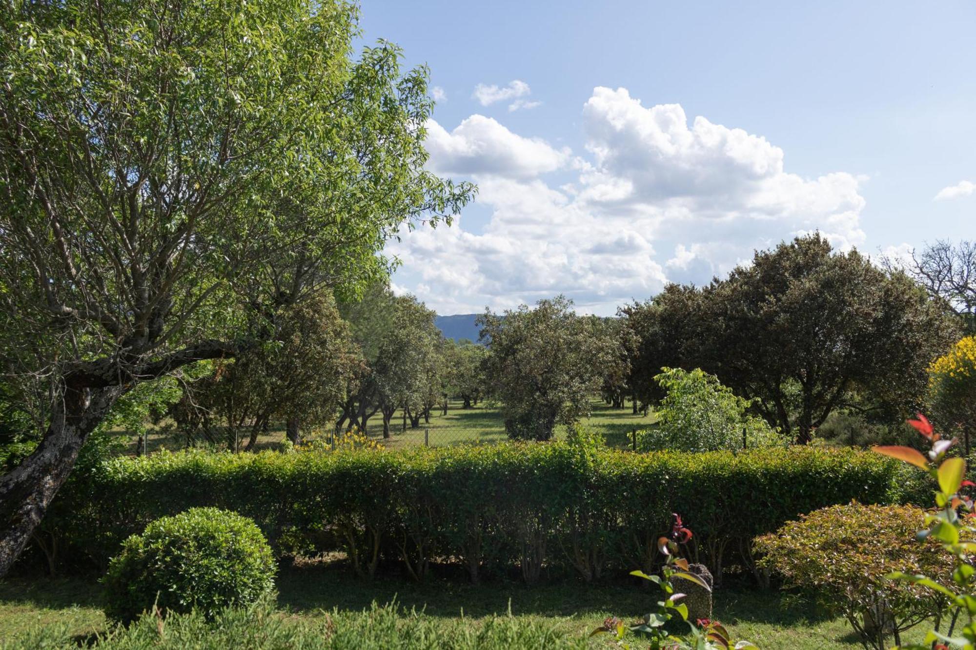 Villa Provencale Face Au Luberon Cabrières-dʼAvignon المظهر الخارجي الصورة